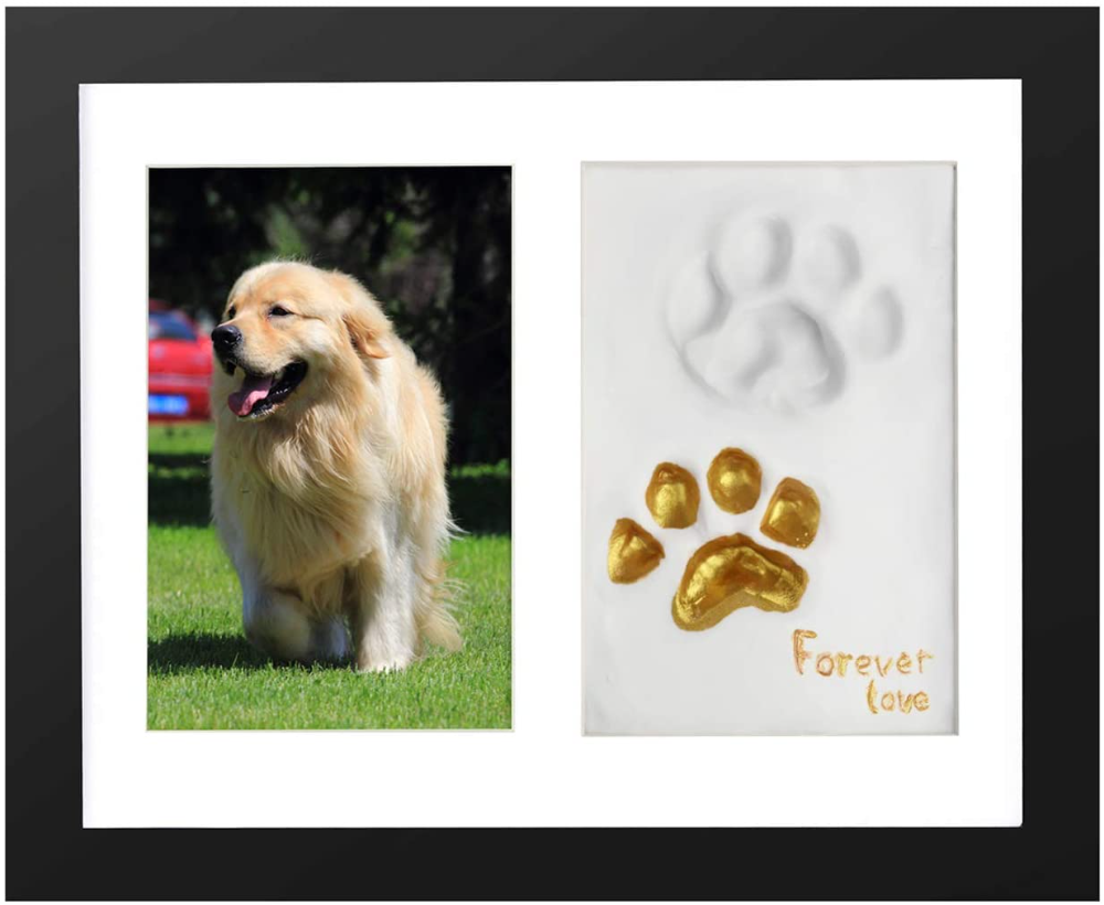 Amazonsmile: One Wall Pet Pawprint Keepsake Kit, 4X6 Inch Pet Memorial ... in Beyond the Basics Dog Memorial Kit Features and Benefits