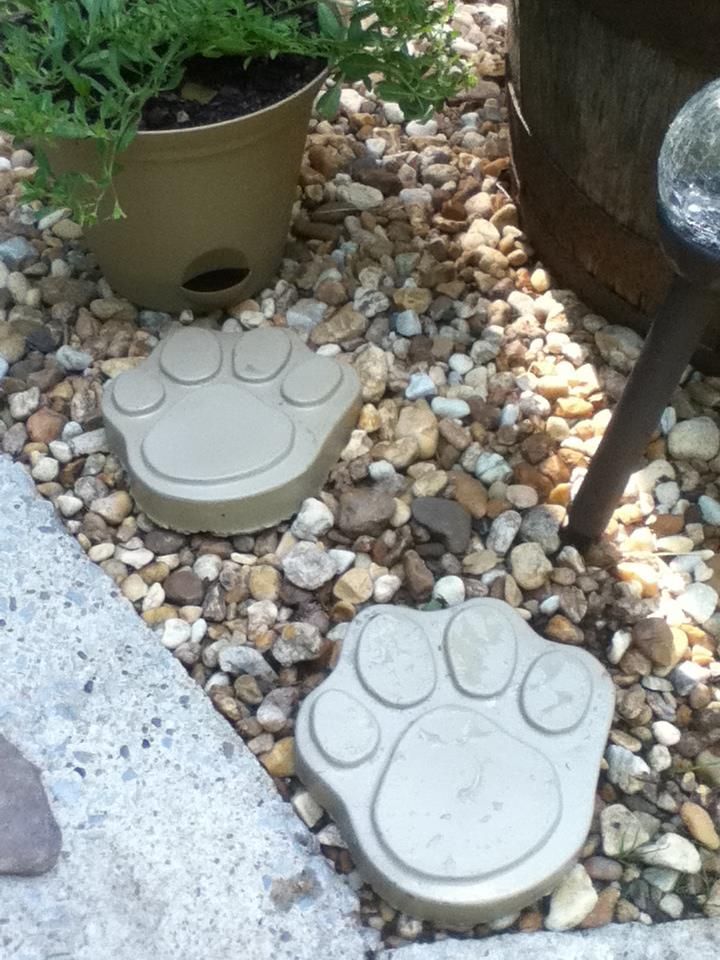 Dog Paw Print Concrete Stepping Stone Mold 1030 - Moldcreations ... pertaining to Step-by-Step Instructions Making Pawprint Stepping Stones