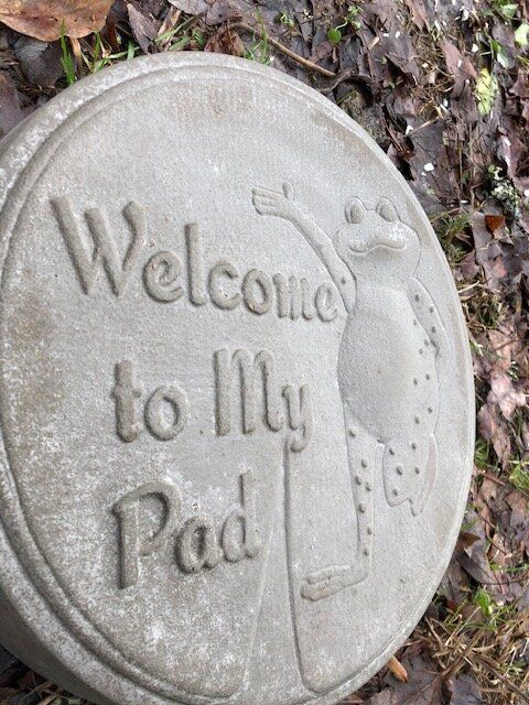 Frog Stepping Stone Mold within Frog Stepping Stone Mold