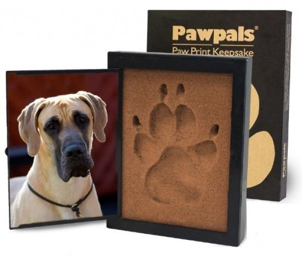 Large Paw Pals Paw Print Kit | Shop | Pcs Pet Memorials intended for Beyond the Basics Dog Memorial Kit Features and Benefits