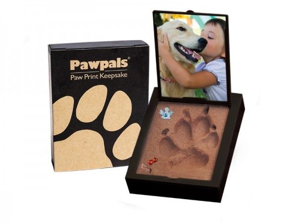 Paw Pals Paw Print Kit | Shop | Pcs Pet Memorials inside Beyond the Basics Dog Memorial Kit Features and Benefits