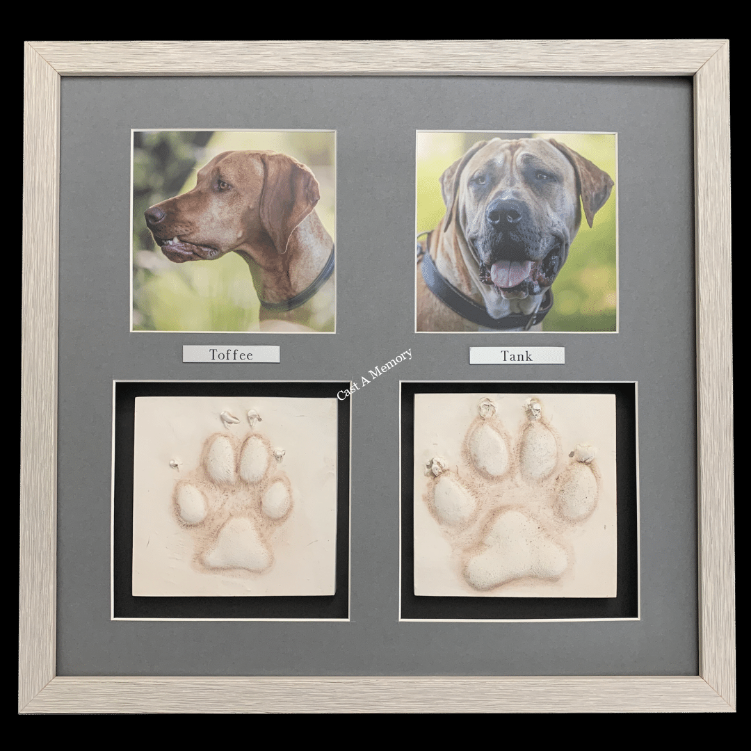 Pet Casting, Paw Cast, Paw Print, Diy Casting Kit, Keepsake For Dog ... within Dog Memorial Kit