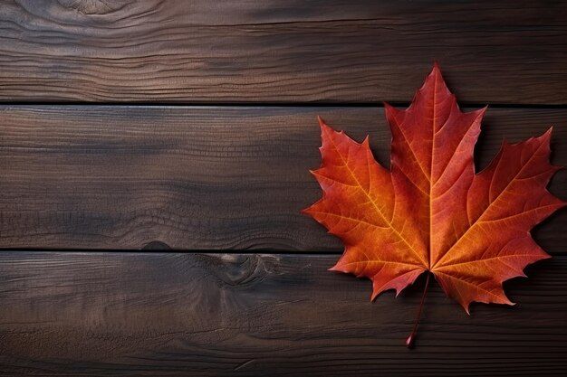 Autumn's Gentle Embrace A Lone Maple Leaf On Rich Wooden Planks ... for