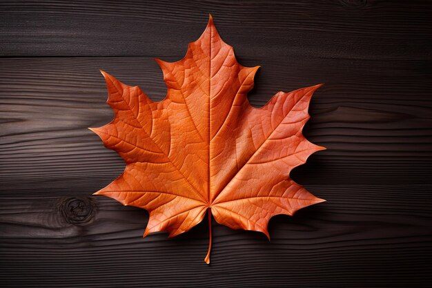 Autumn's Gentle Embrace A Lone Maple Leaf On Rich Wooden Planks ... throughout Crafting Autumn's Embrace with a 38" Maple Leaf Berry Swag