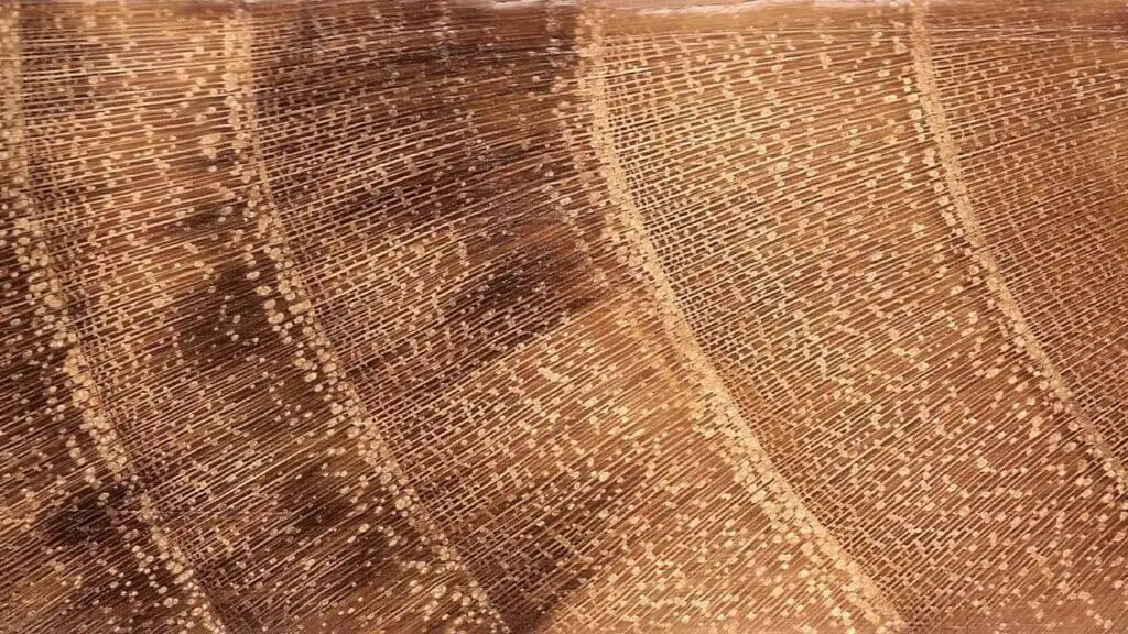 Black Locust Wood: The Ultimate Guide To Its Strength And Applications ... with