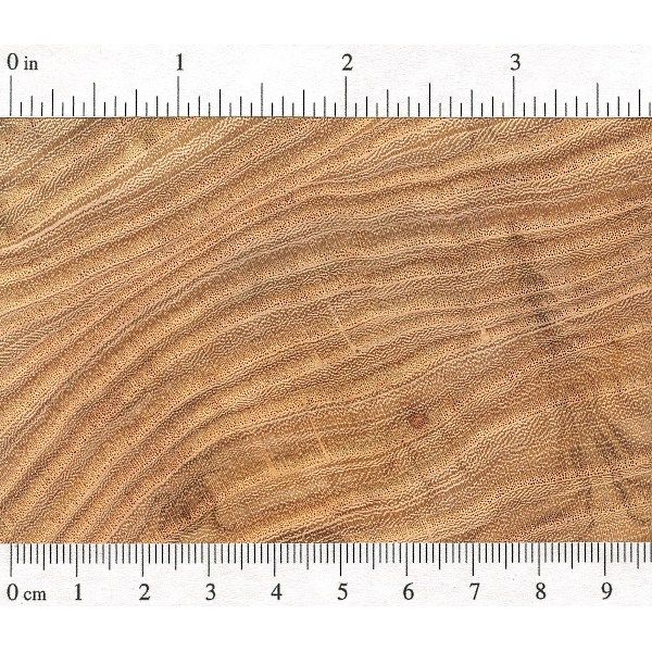Honey Locust | The Wood Database - Lumber Identification (Hardwood) pertaining to