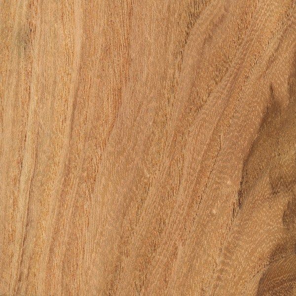 Honey Locust | The Wood Database - Lumber Identification (Hardwood) with regard to