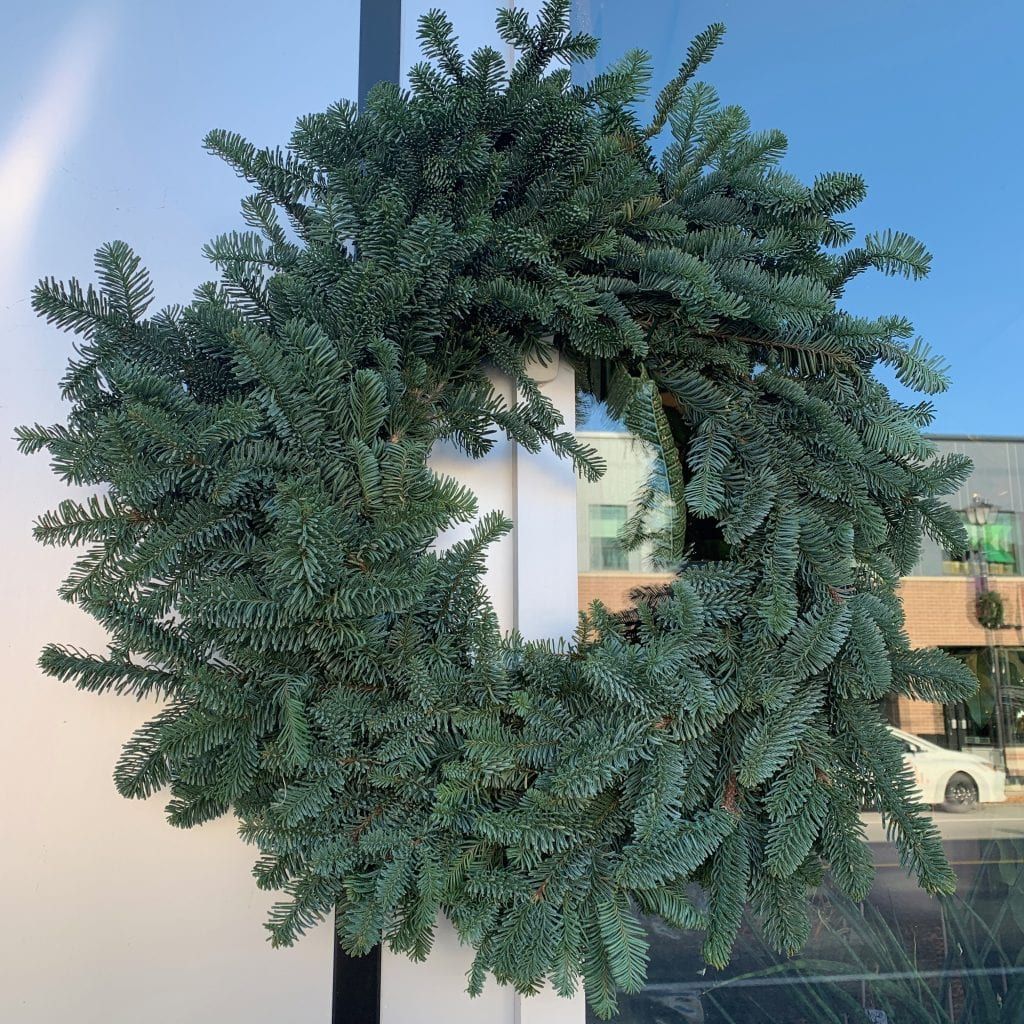 24" Noble Fir Wreath - Flowers Talk Tivoli with