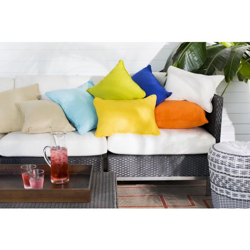 Essien Light Beige Outdoor Pillow By Livabliss - Seven Colonial throughout Maximizing Comfort and Style with the Essien Pillow Cover 20x20x0.25