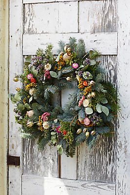 Fresh Noble Fir, Incense Cedar + Eucalyptus Wreath | Anthropologie pertaining to