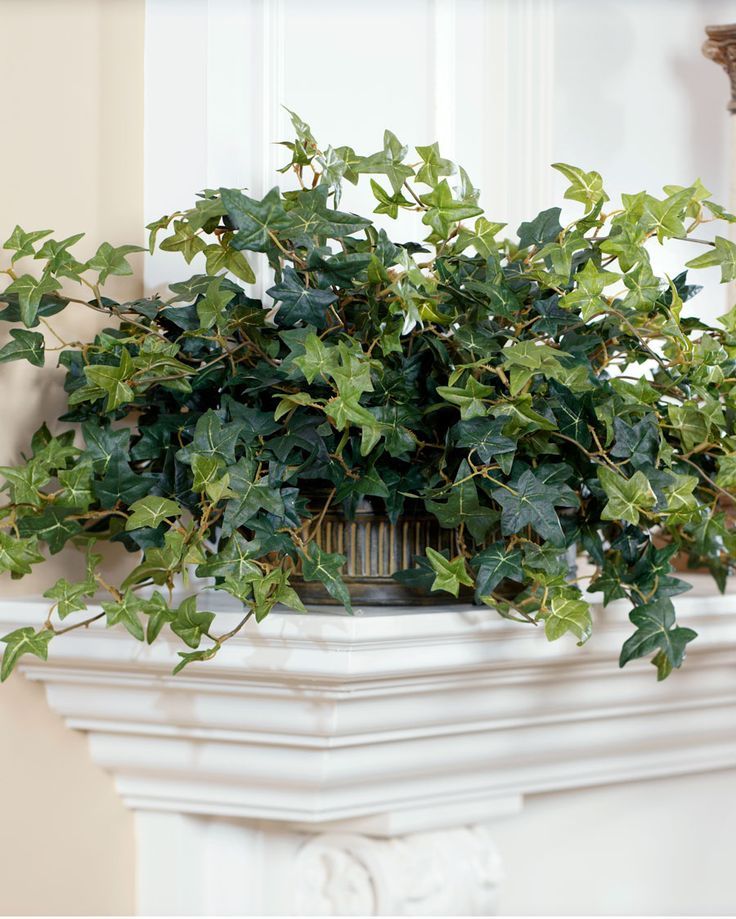 Silk English Ivy In Oval Planter | Planters, Cascading Planter, Ivy Plants inside