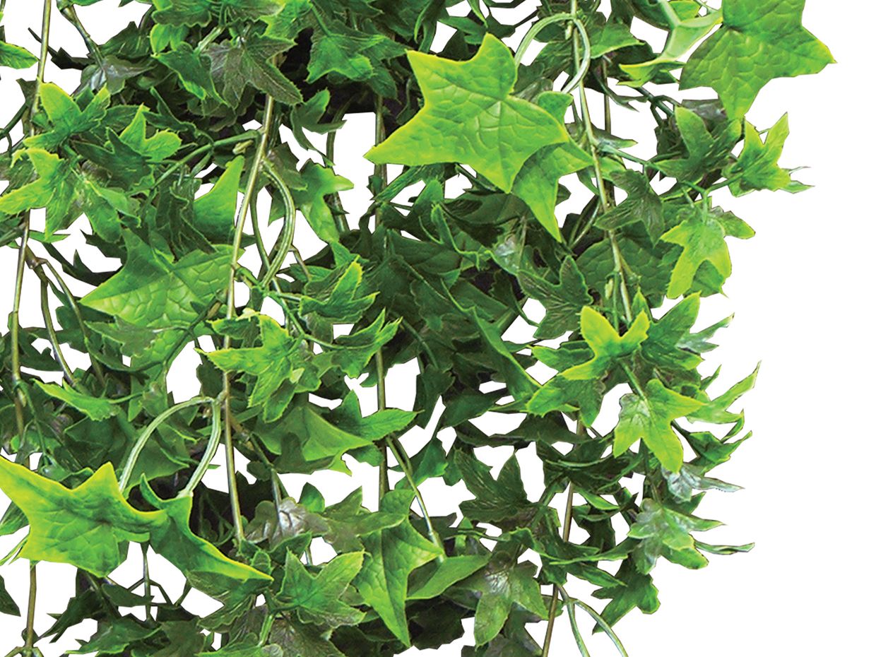 Silk English Ivy Plant At Ruth Sapp Blog with regard to