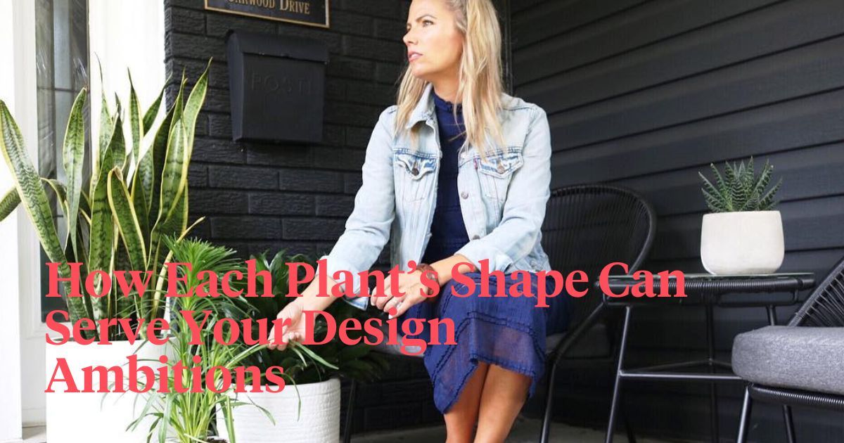 Transforming Outdoor Spaces: 3 Plant Tips For Patio Revitalization in