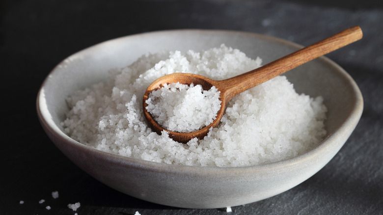 Everything You Need To Know About Salt for