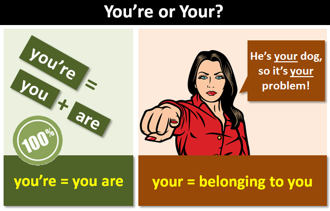 "You're" Or "Your"? intended for Your Guide to the Visions III Bees Pillow in Honey for Year-Round Comfort