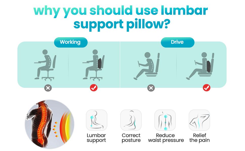 Agokud Lumbar Pillow, Lumbar Support Pillow For Car And Office Chair ... regarding Understanding the Benefits of XL Lumbar Support Pillow Design