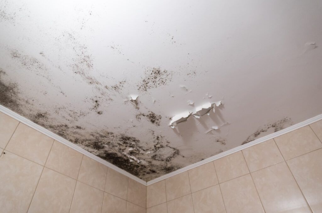 Best Paint For Bathroom Ceilings To Prevent Mold throughout Paint Bathroom Ceiling To Prevent Mold