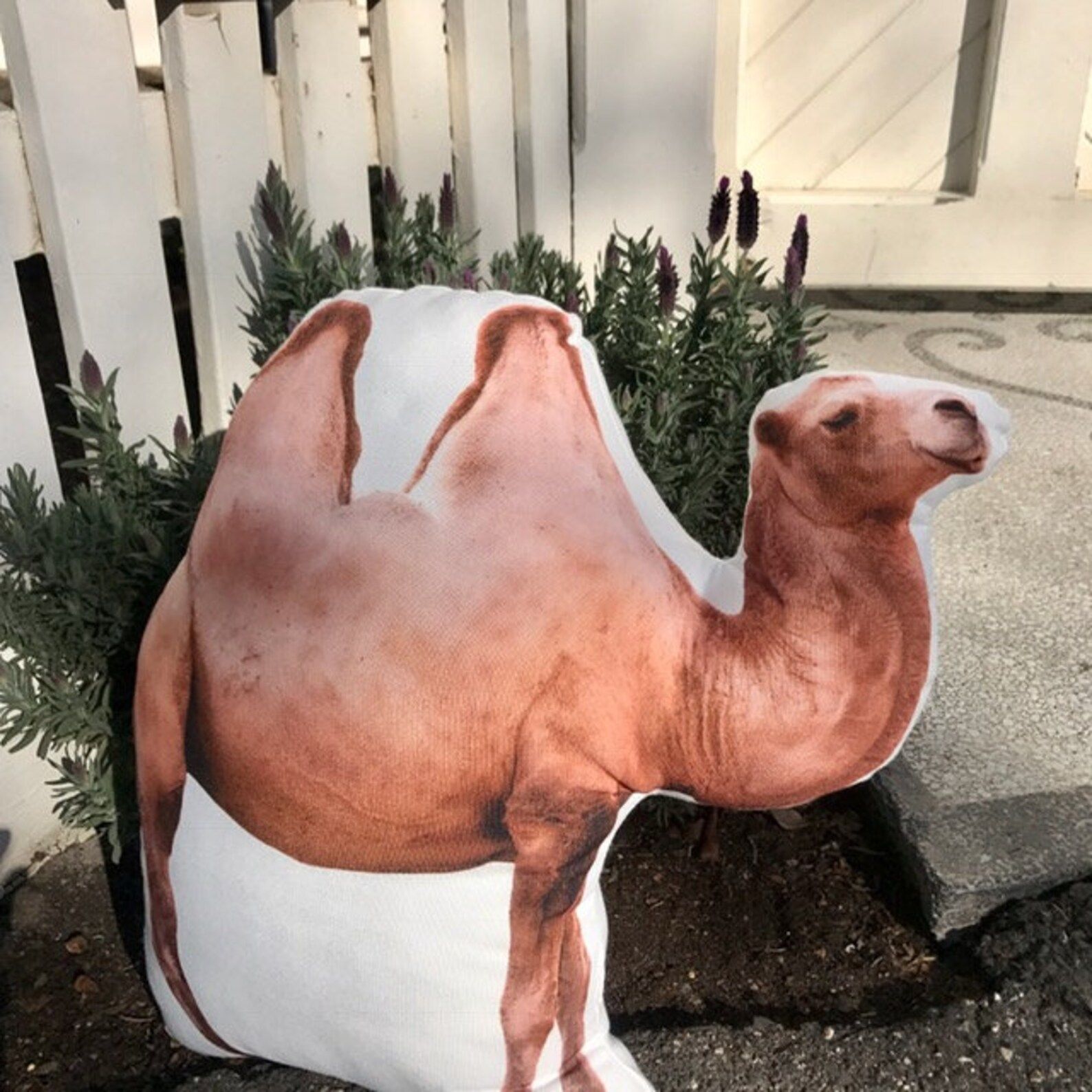 Camel Stuffed Animal Shaped Pillow Funny Gift Idea For Pet | Etsy pertaining to Chiseled Camel Indoor/Outdoor Performance Pillow, 20"X20"