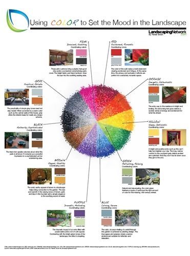 Color coordination tips for achieving cohesive outdoor aesthetics