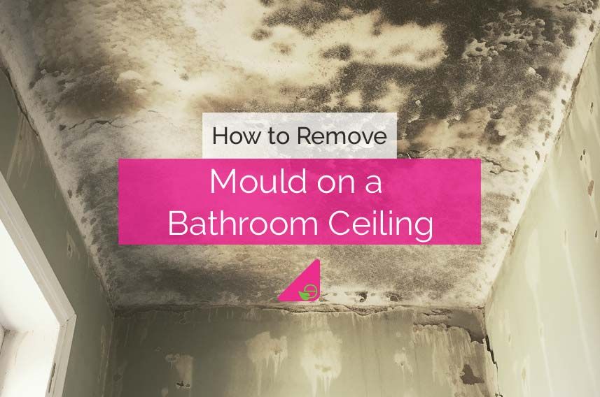 Essential Tips for Painting Bathroom Ceilings to Stop Mold Growth