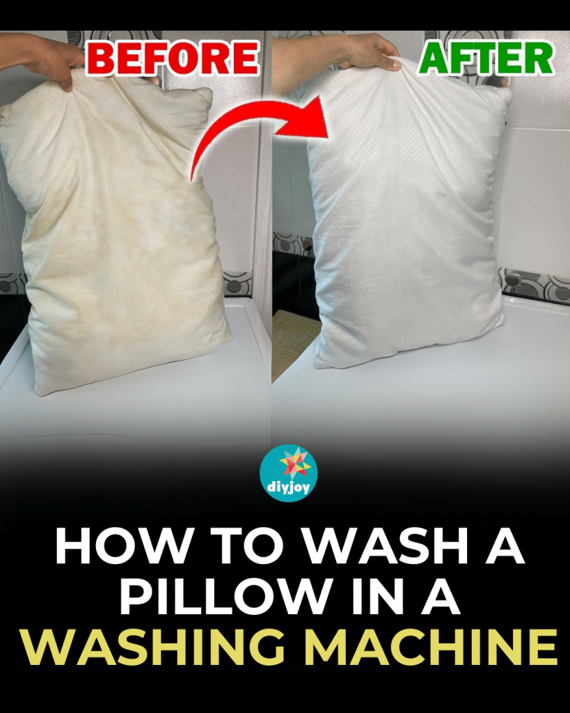 How To Wash A Pillow In A Washing Machine for Frontporch Surfing Dog "Machine Washable" Indoor/Outdoor Pillow