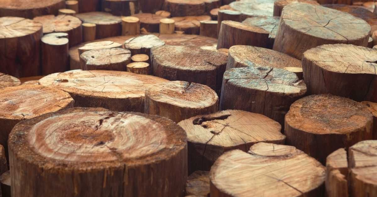 Is Teak Wood Waterproof? Discover Its Durability - Craftingwithconcrete.com pertaining to Cypress Teak Wood 128" Sofa With Beige Color Rope Design