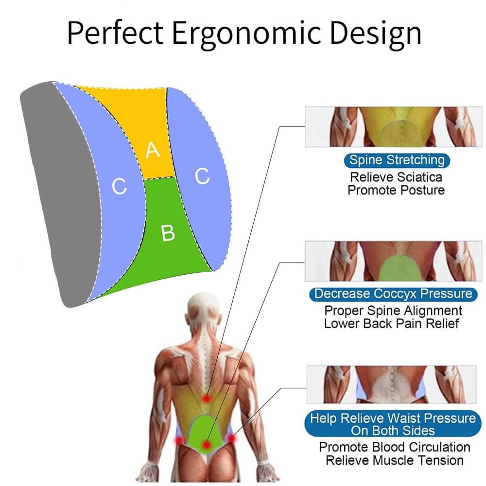 Understanding the Benefits of Textured Lumbar Support During Work and Play
