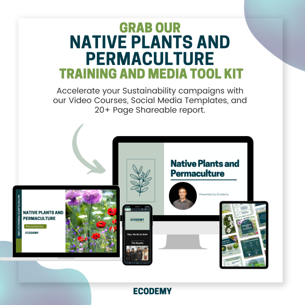 Native Plants And Permaculture Training Tool Kit - The Ecodemy with Permaculture Tool Set Sustainable