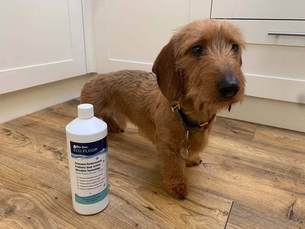 Pet Safe Floor Cleaners - Pet Friendly Cleaning within Safe Bathroom Cleaner For Pets