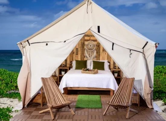 Understanding The Versatility Of Dome Tents: When And Why To Use Them inside Resilience Indigo Indoor/Outdoor Performance Pillow, 20"X20"