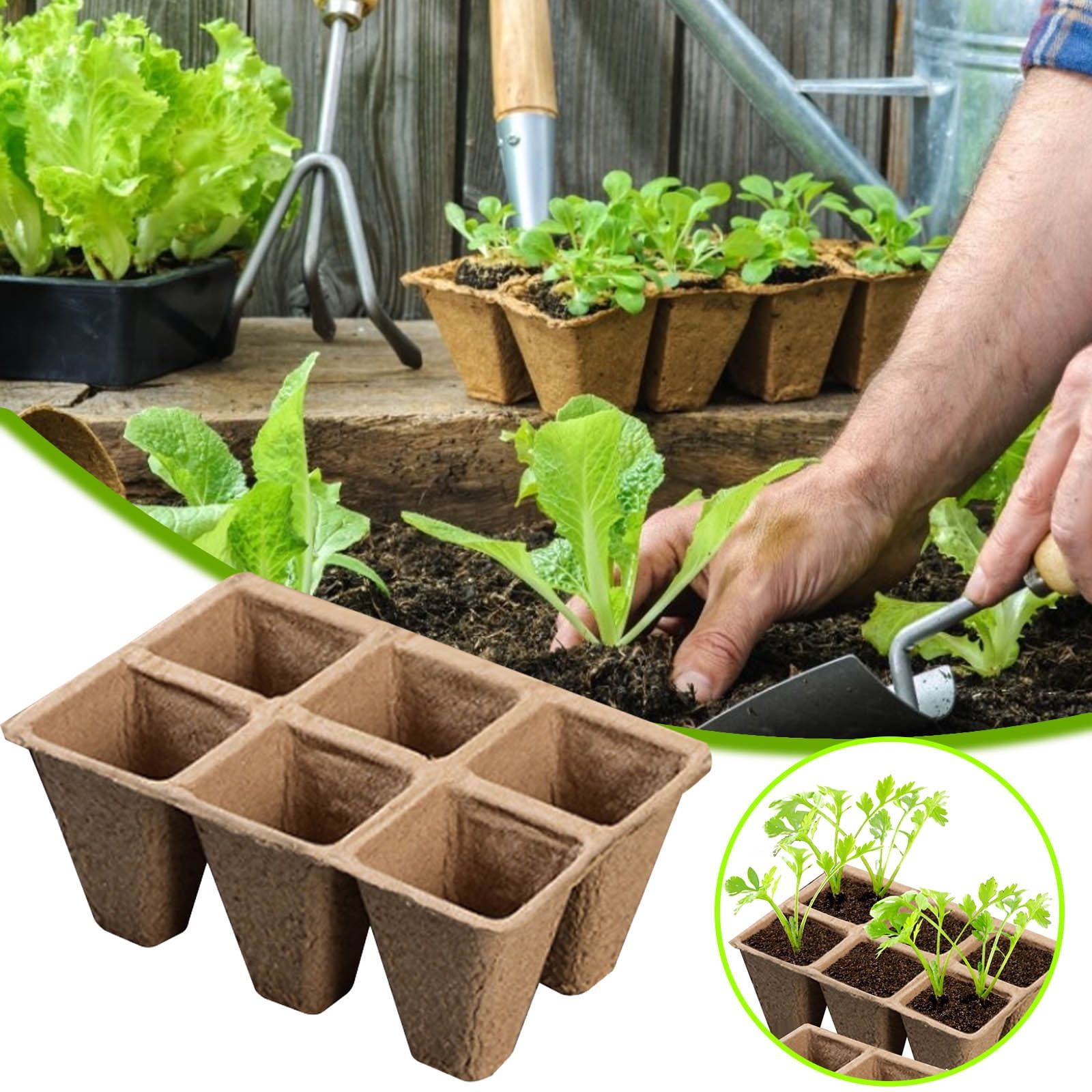 20 Packs Seedling Starter Trays 120 Cells, Biodegradable Seed ... pertaining to Choosing the right compostable seedling trays for your nursery needs