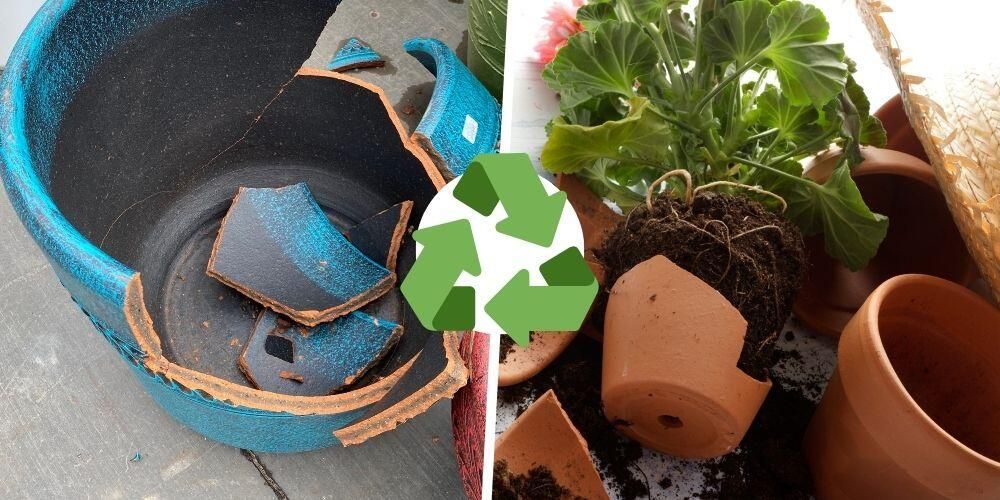 24 Easy Ways To Reuse And Recycle Plant Pots - Theroundup with regard to How compostable pots can transform your gardening practices
