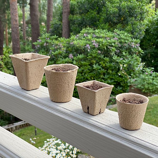 288 X 8Cm Eco Square Fibre Biodegradable And Compostable Plant Pots throughout How compostable pots can transform your gardening practices