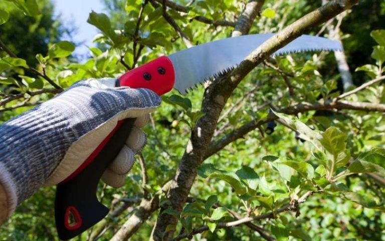 32 Gardening Tools Every Serious Gardener Should Have within Mastering Sustainable Garden Hand Saw Techniques for Better Harvests