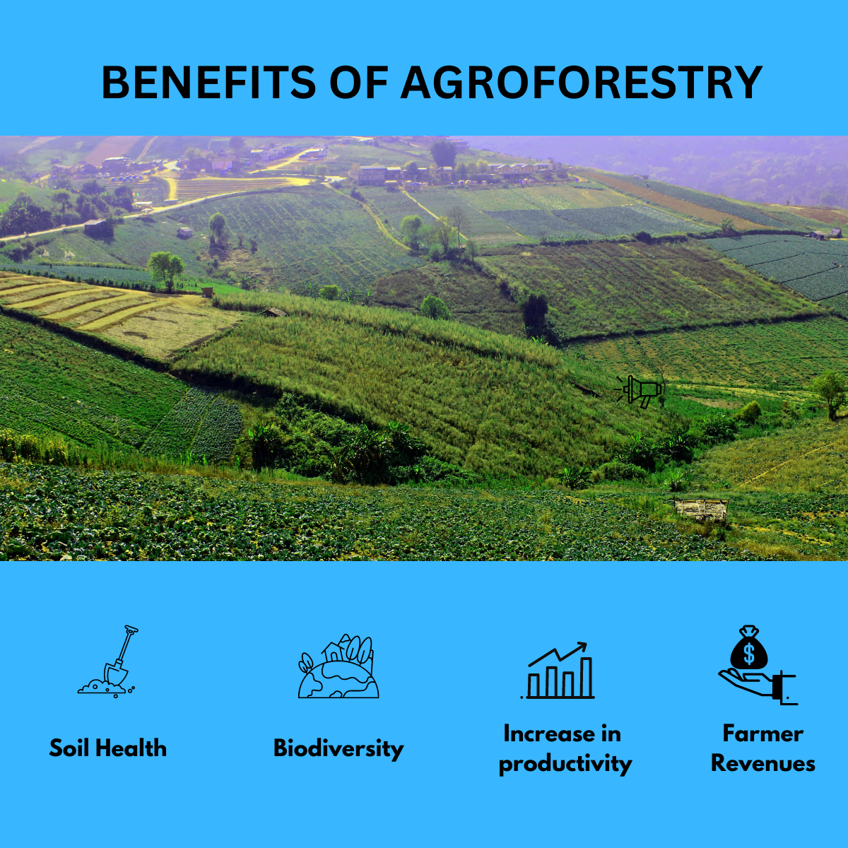 4 Benefits Of Agroforestry | Transforming Landscapes For Prosperity And ... in Eco-Friendly Garden Hand Saw
