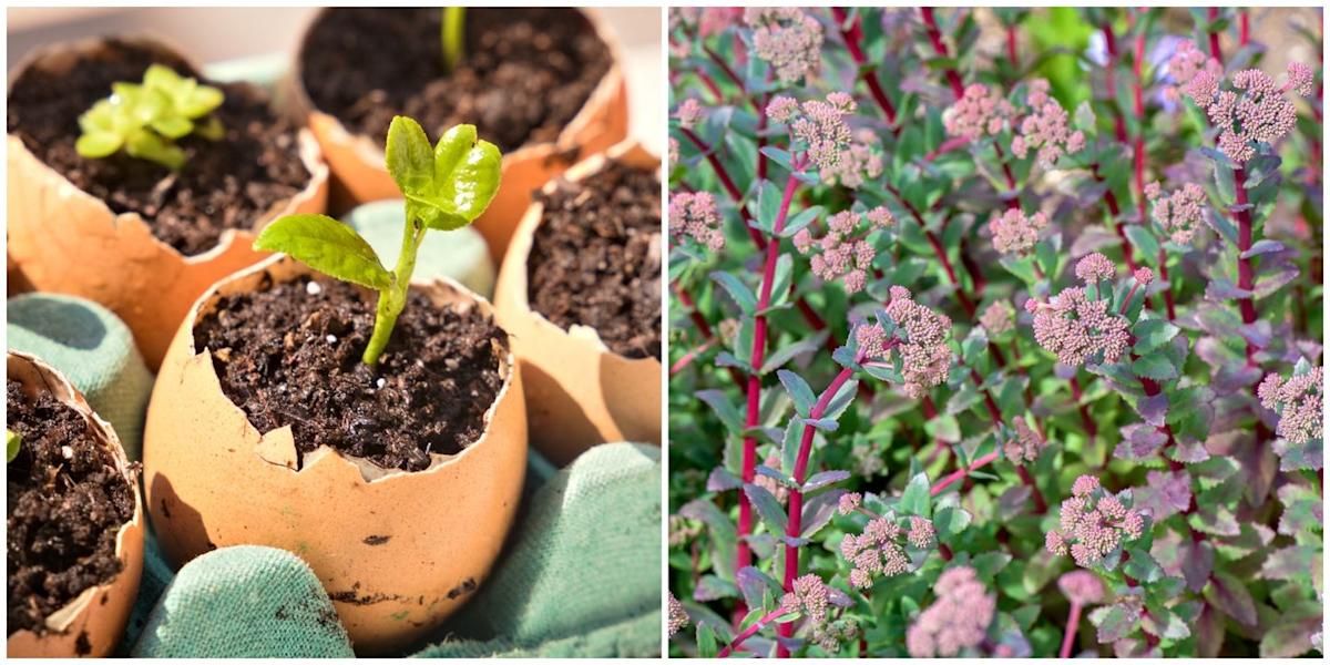 5 Easy Ways To Garden Sustainably This Summer for Simple ways to garden sustainably with your hands