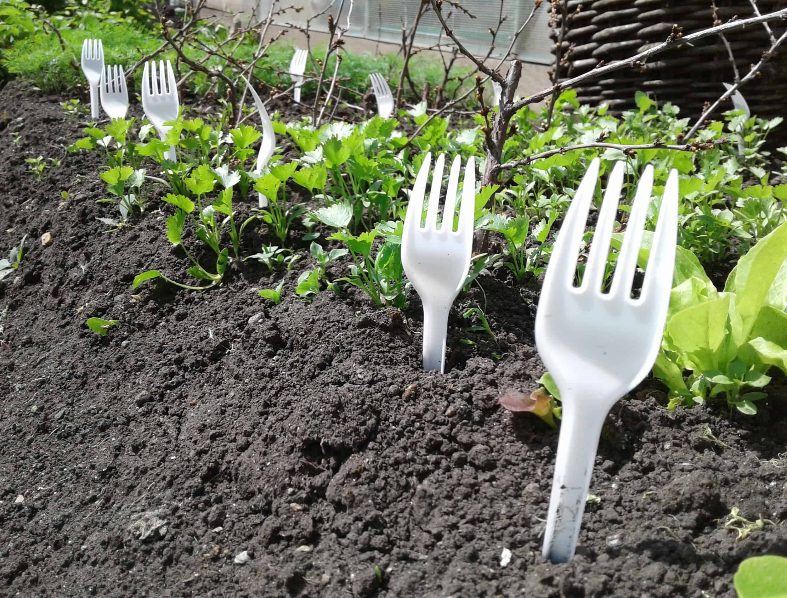 5 Tricks That Will Change The Way You Garden - Backyard Boss inside Recycled Steel Garden Fork
