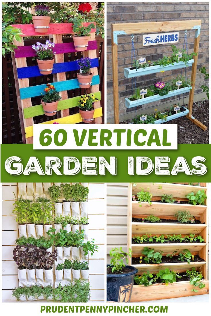 60 Diy Vertical Garden Ideas For Small Spaces in How to Build Your Own Sustainable Vertical Garden Kit from Scratch