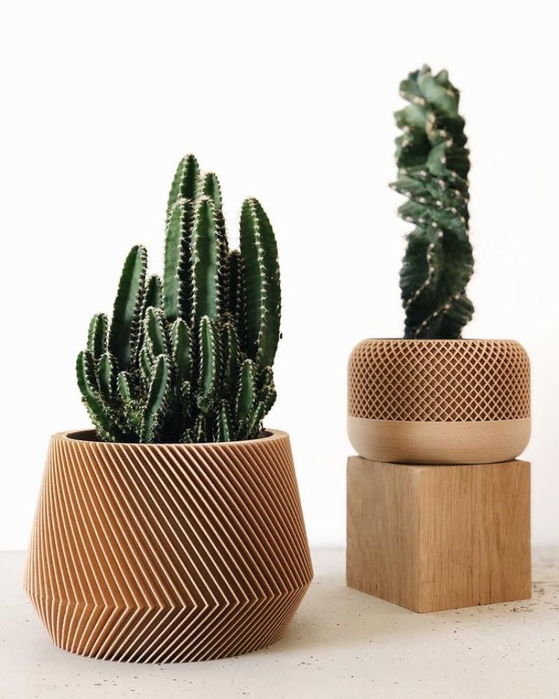 7 Eco-Friendly Planters, Pots, And Vases For A Green Oasis for Bamboo Seedling Pots Eco Friendly