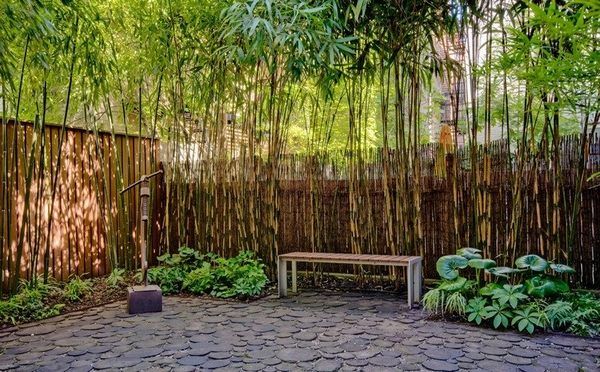 70 Bamboo Garden Design Ideas – How To Create A Picturesque Landscape in Bamboo Plant Caddy Sustainable