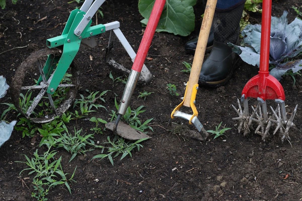 8 Best Weeding Tools - Facts.net intended for Choosing garden weeding equipment that stands the test of time