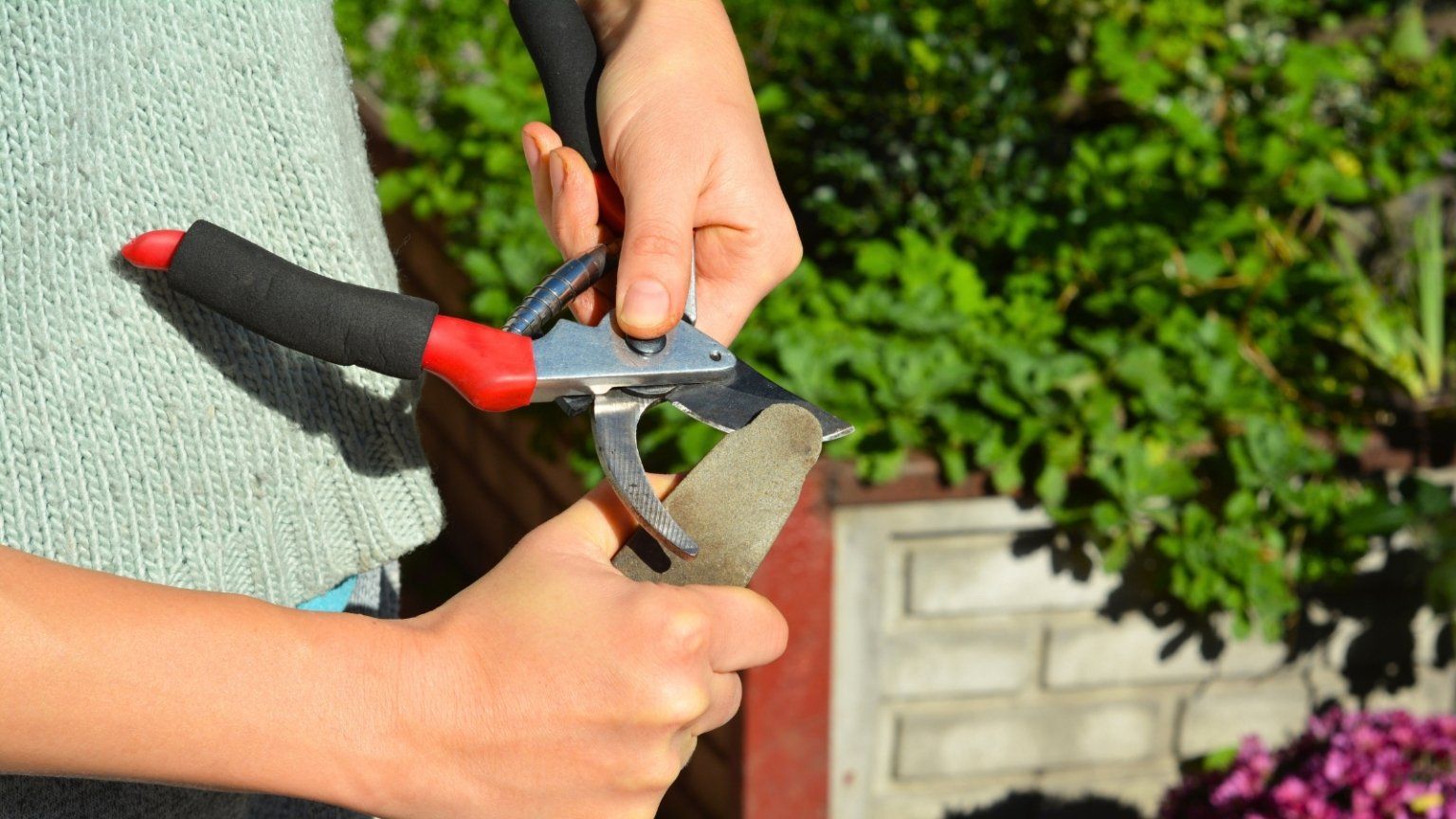 A Beginner's Guide To Cleaning And Disinfecting Your Garden Tools regarding Simple ways to clean garden tools without harsh chemicals