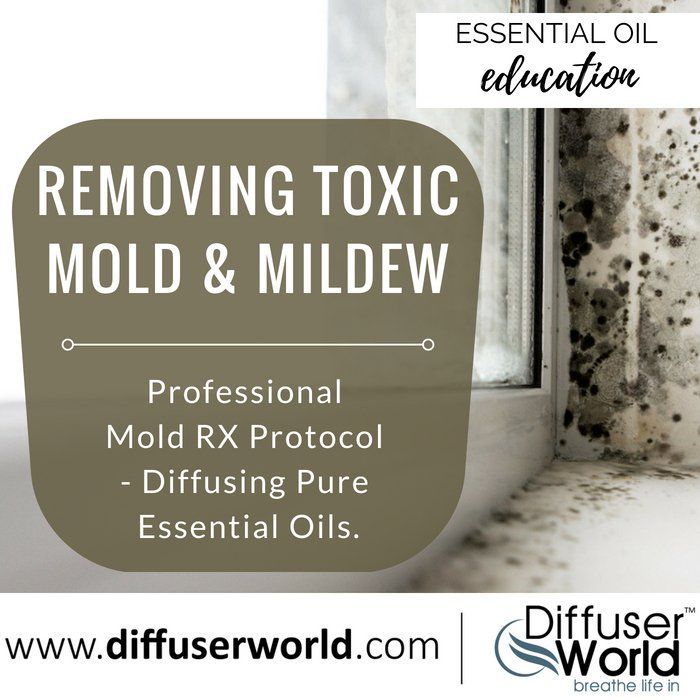 A Natural Solution For Removing Toxic Mold regarding Use Essential Oils For Mold Prevention