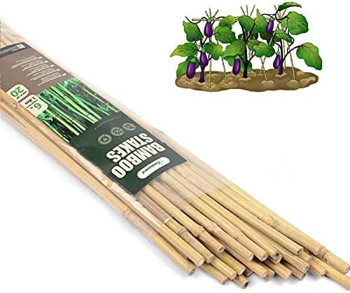 Amazon.com : Dlh Western Natural Bamboo Poles, Eco-Friendly Plant ... regarding Eco-Conscious Gardeners Choose Bamboo Stakes for Their Plant Support Needs