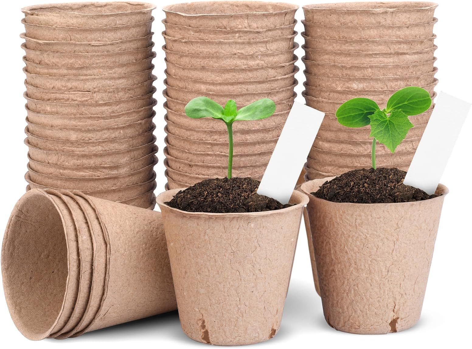 Amazon.com: Dsuwazu 100Pcs Peat Pots For Seedlings, 3.15 Inch Seed ... regarding Bamboo Seedling Pots Eco Friendly