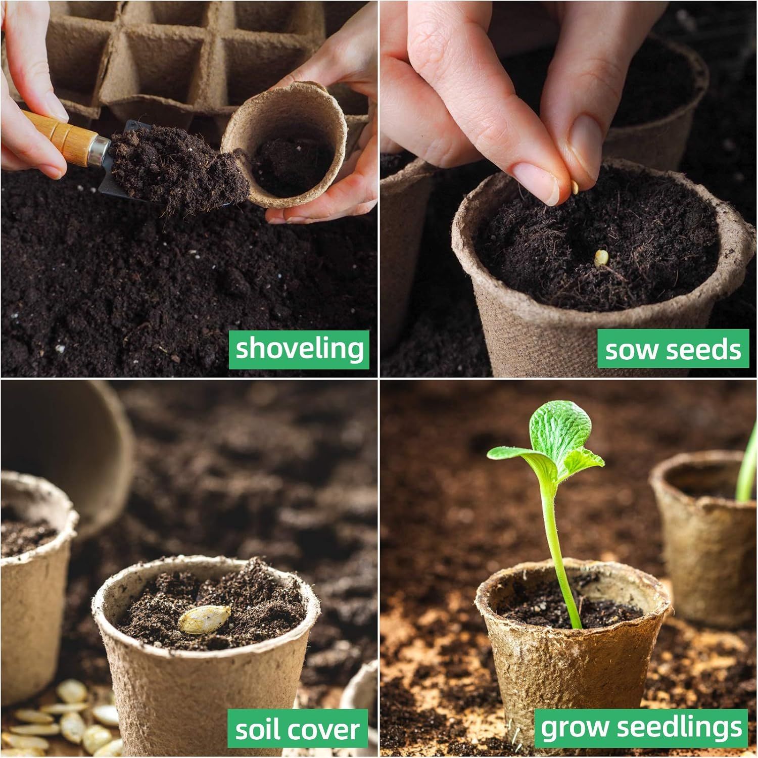 Best Biodegradable Seedling Pots Of 2025: Start Strong, Grow Green ... with The environmental impact of traditional versus biodegradable seed starting containers