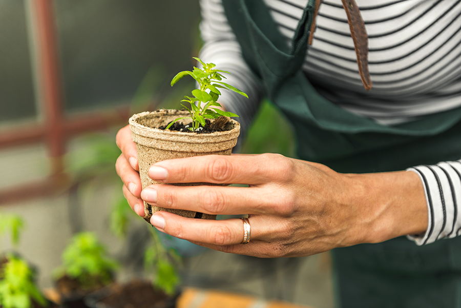 Best Eco-Friendly Biodegradable Gardening Pots & Top Options in How biodegradable containers support sustainable gardening practices