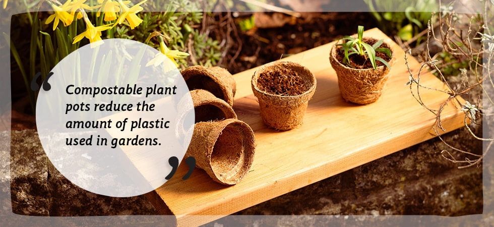 How compostable pots can transform your gardening practices and environmental impact