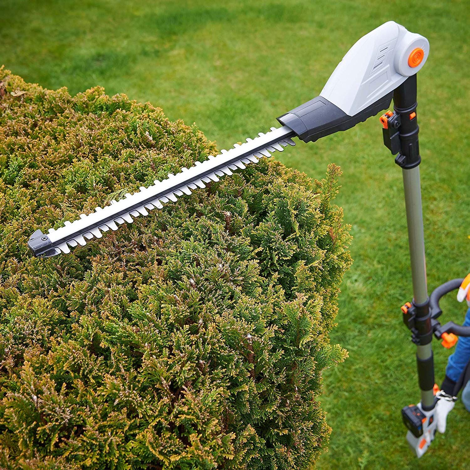 Best Rated Cordless Grass Trimmers - Back Gardener regarding Why gardeners are switching to cordless eco garden edgers for cleaner cuts