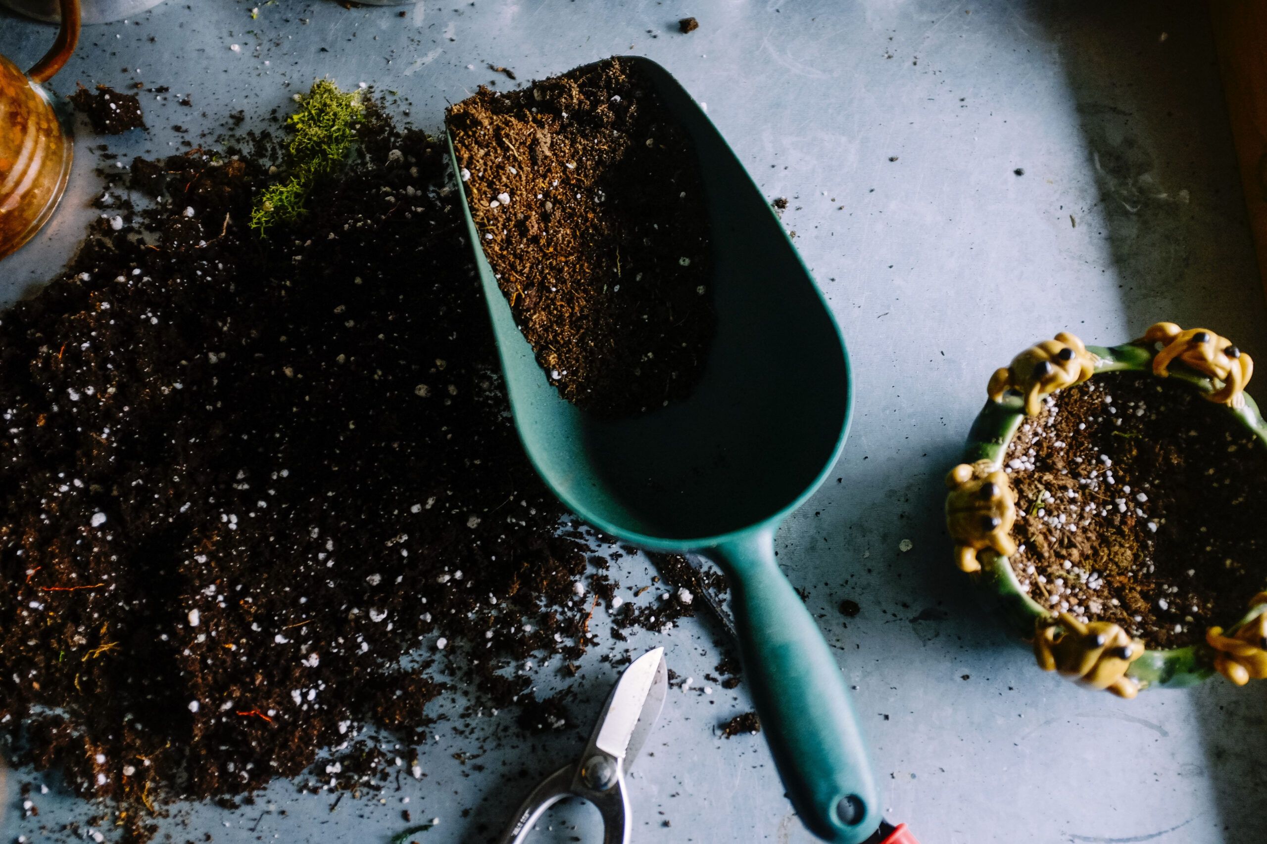 Choose These 6 Sustainable Gardening Options | Green Adelaide with regard to How to select the best sustainable trowel 2025 for your next project